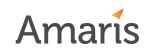 Amaris Consulting